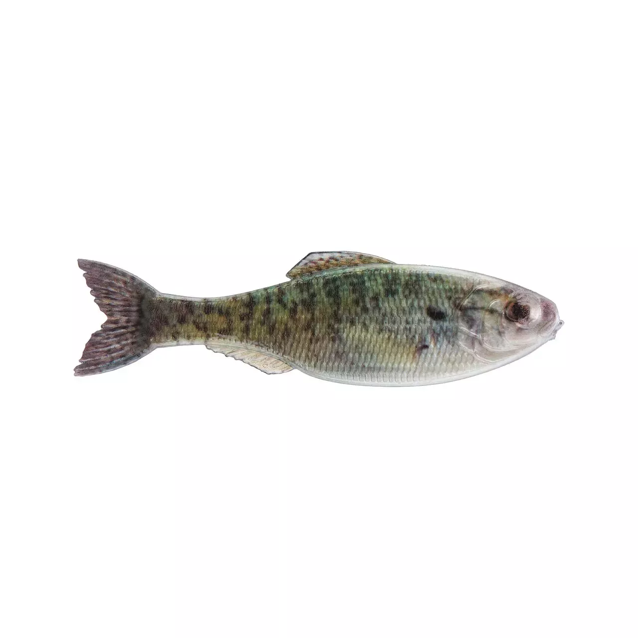 6th Sense Panorama 5″ Live Crappie