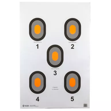 ACTION TGT ORG CENTER 5 BLSEYE 100PK