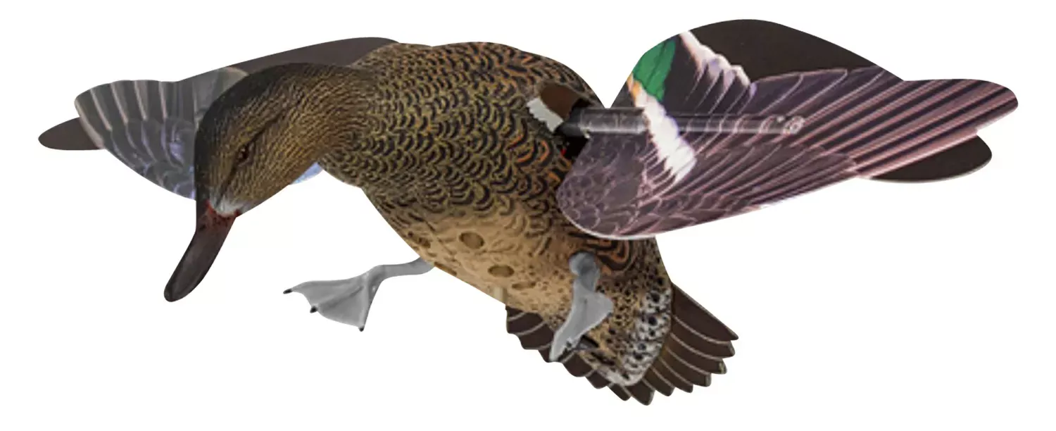 Avian X PowerFlight Teal Hen Multi-Color 1