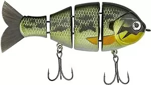 Catch Co. Mike Bucca’s Baby Bull Gill – Baby Bass