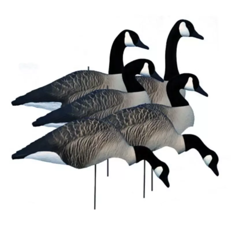 Higdon Decoys Magnum Canada Full Form Shell Variety Pack (6-Pack)