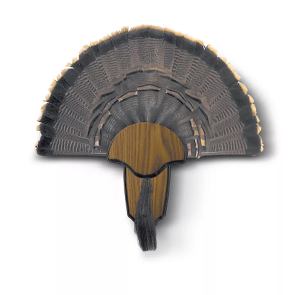 Hunter Specialties Strut Turkey Tail & Beard Mounting Kit
