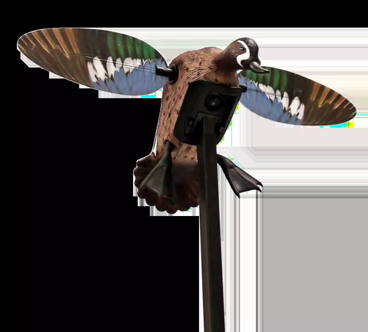 Mojo Outdoors Elite Series Blue Wing Teal Duck Species