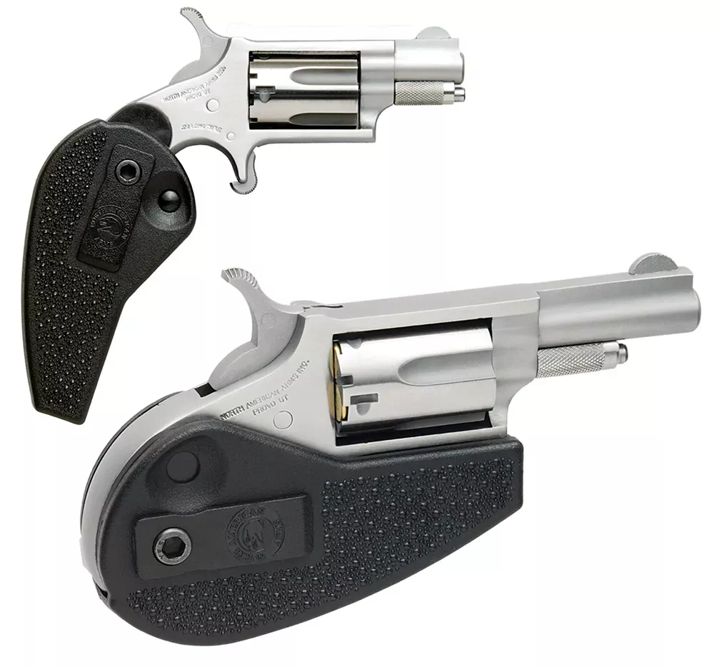 NAA Mini Revolver Combo 22LR/22WMR 1 1/8" Mt Stainless