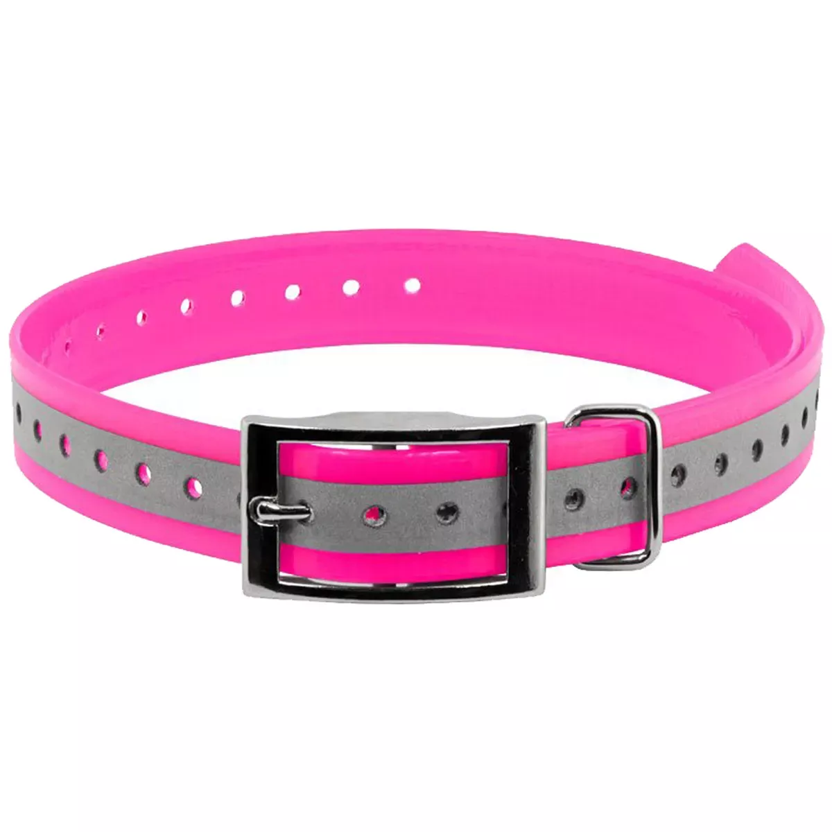 SunGlo 1" Wide Reflective Collar