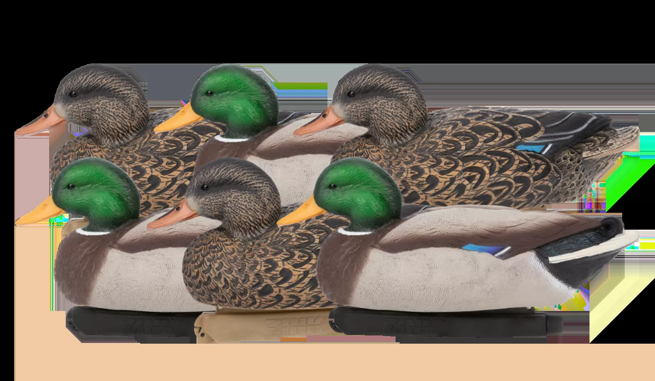 Zink Floater Decoys – Mallards 6 Pack